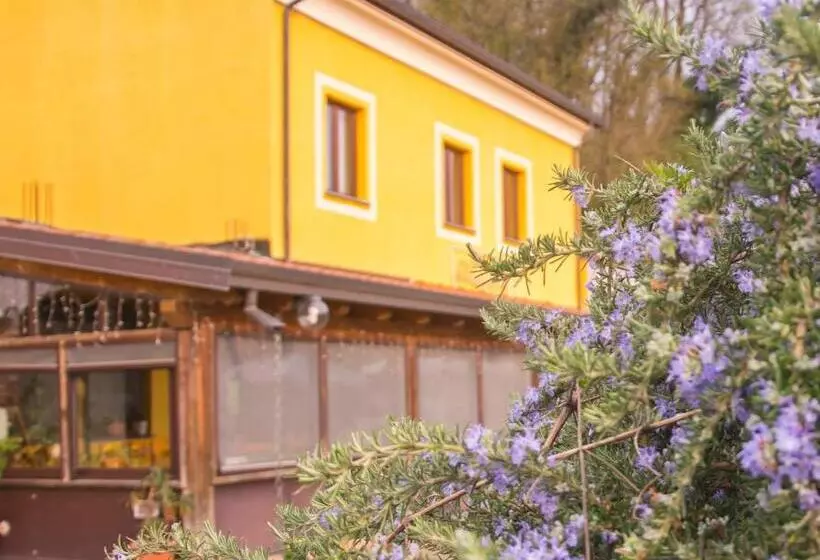 Majatalo Affittacamere Dell Autista