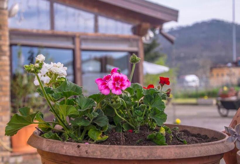 פנסיון Affittacamere Dell Autista