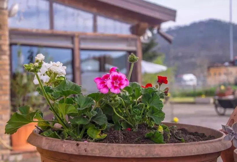 Majatalo Affittacamere Dell Autista