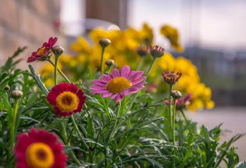 Majatalo Affittacamere Dell Autista