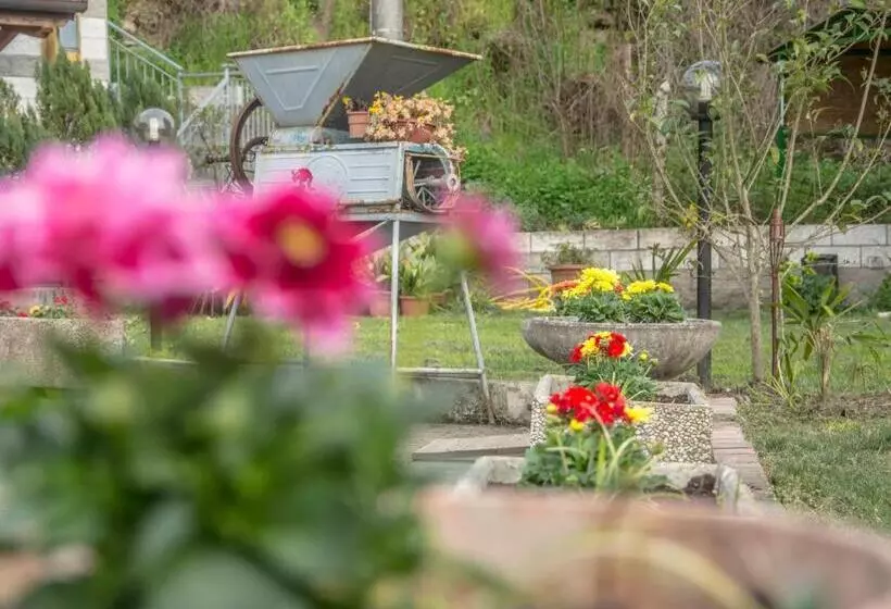 Majatalo Affittacamere Dell Autista