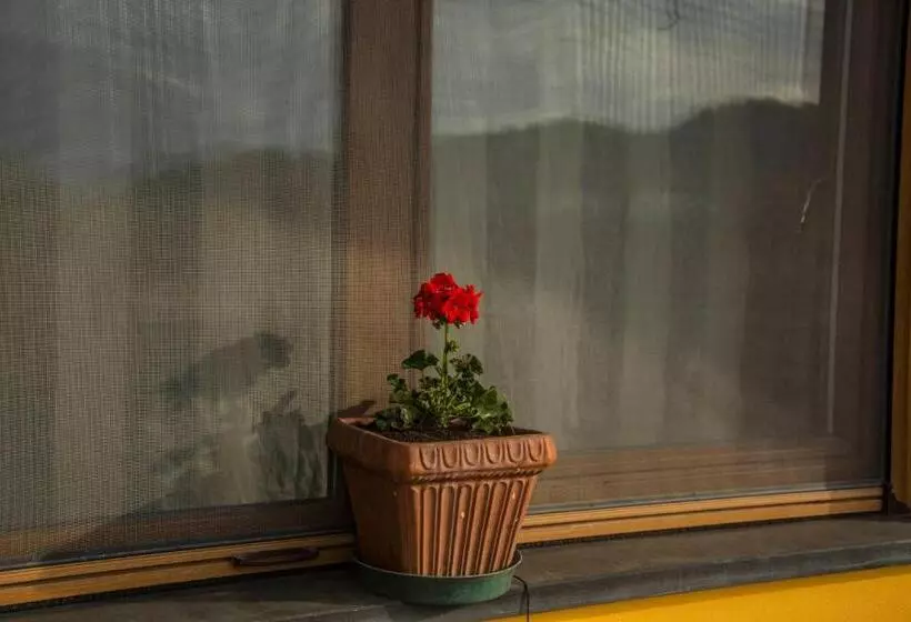 Majatalo Affittacamere Dell Autista