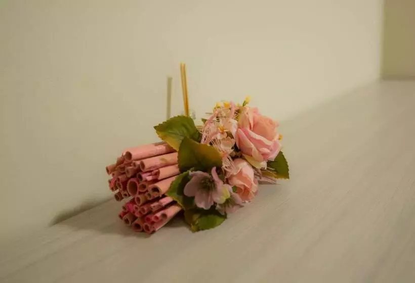 Majatalo Affittacamere Dell Autista