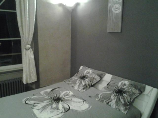 بنسيون Chambres D Hôtes Le Petit Roche