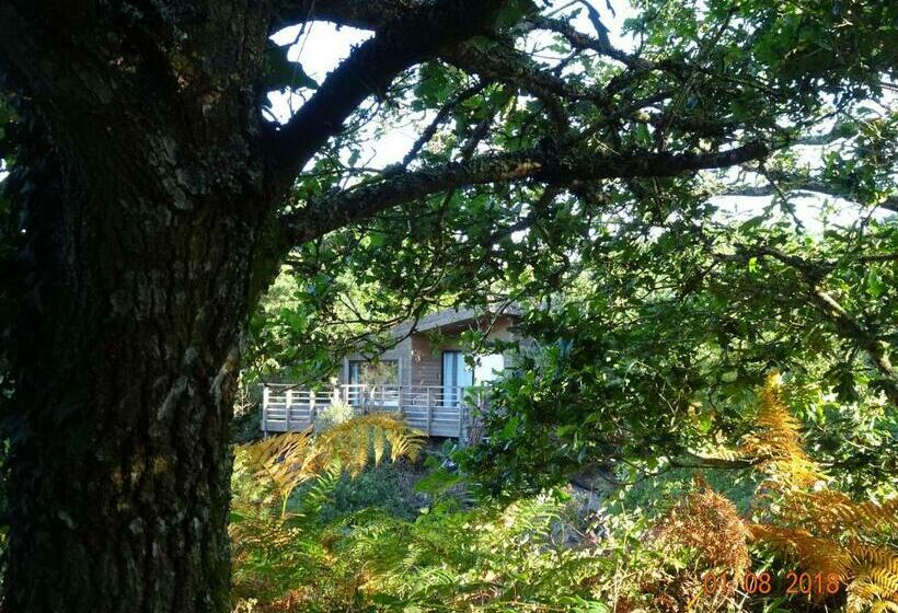 膳宿费 La Carri Air