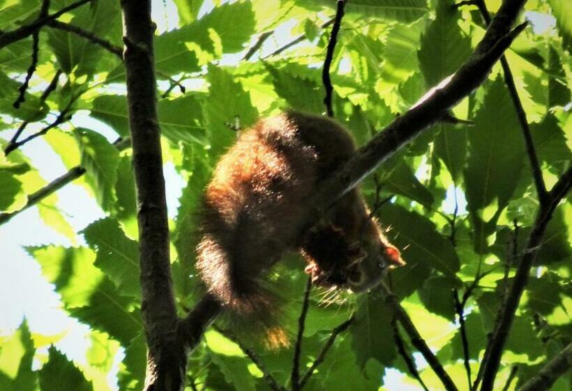 膳宿费 La Carri Air