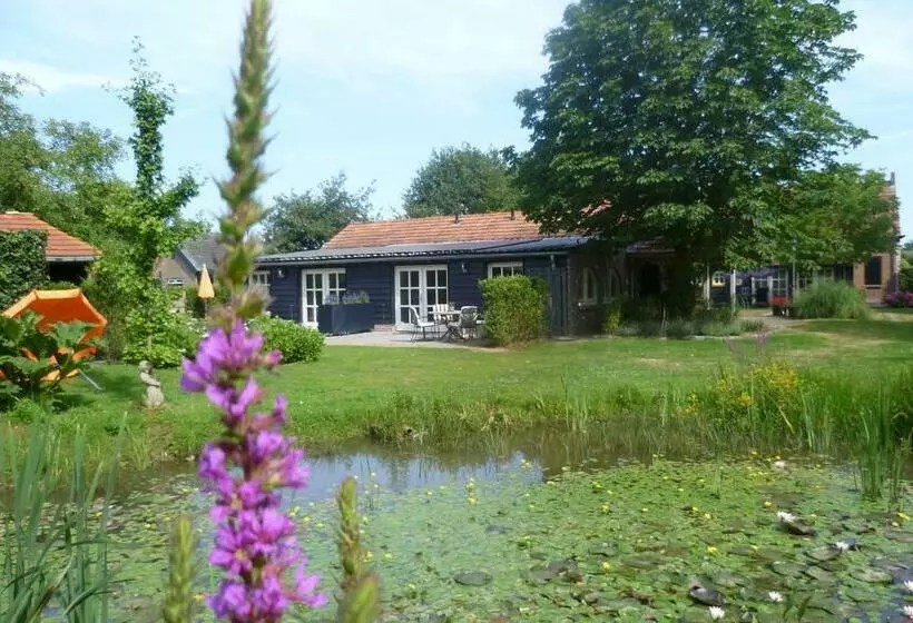 Aamiaismajoitus (B&B) Beukenhof