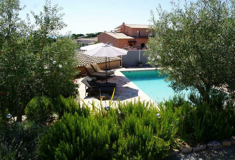 مبيت وإفطار Lone Star House