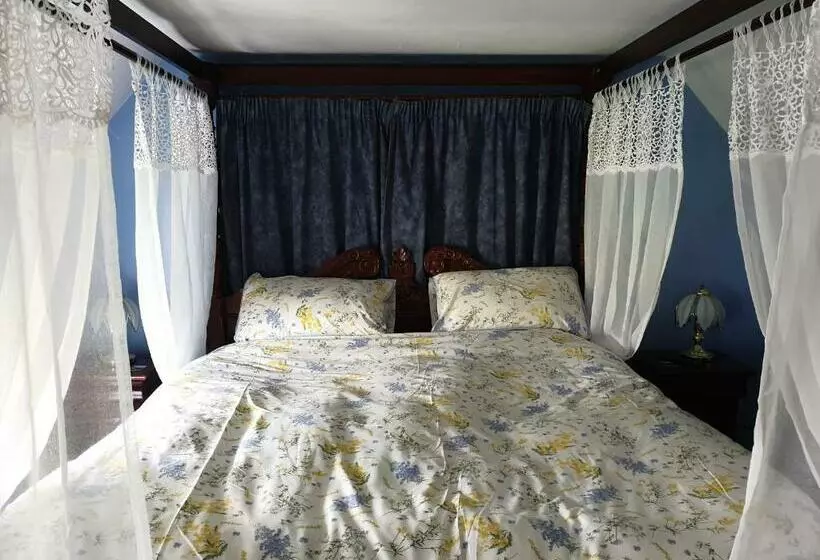 ベッドアンドブレックファースト Morland