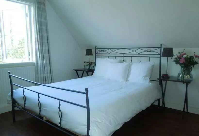 Bed & Breakfast Frans Hals Haarlem