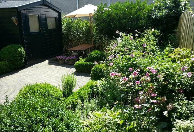 Bed & Breakfast Frans Hals Haarlem