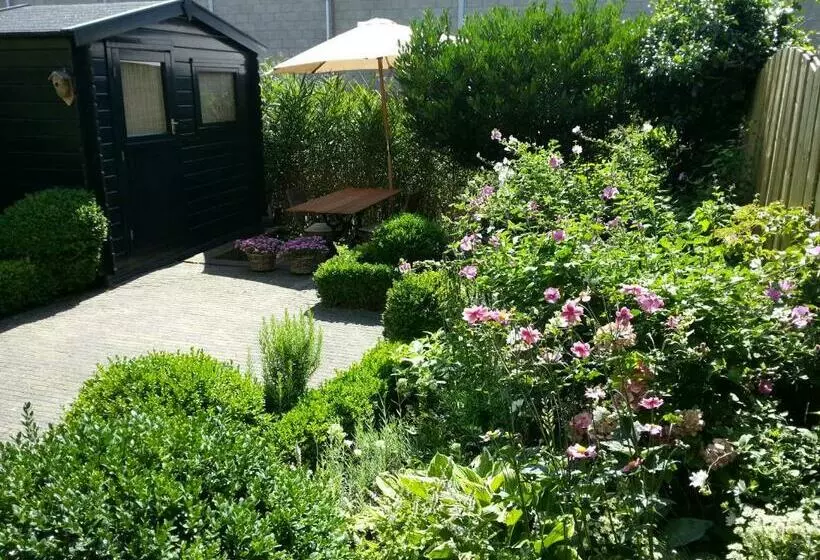 Bed & Breakfast Frans Hals Haarlem