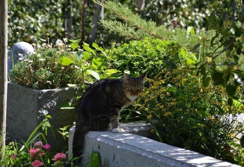 בית מלון כפרי Burggräflerhof