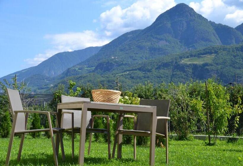 בית מלון כפרי Burggräflerhof