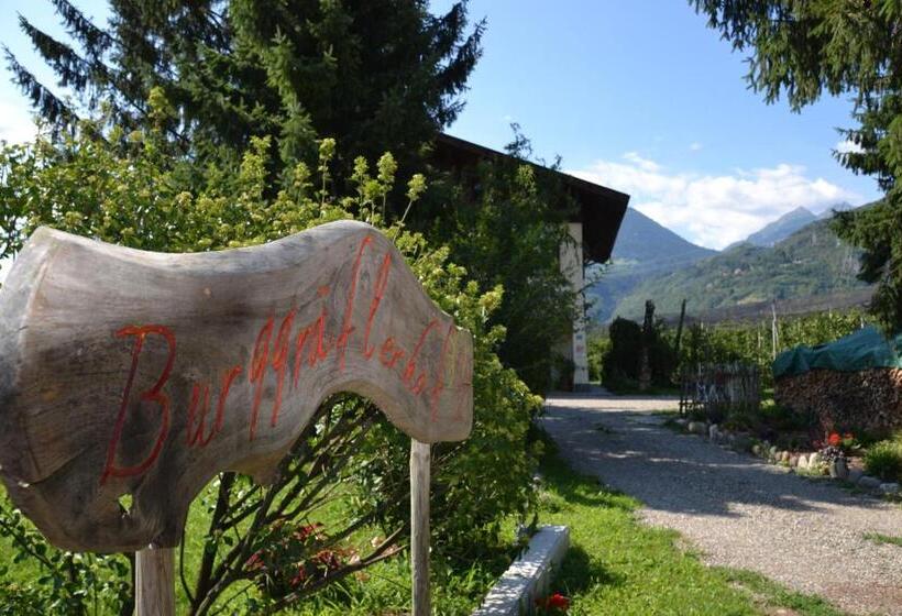 בית מלון כפרי Burggräflerhof