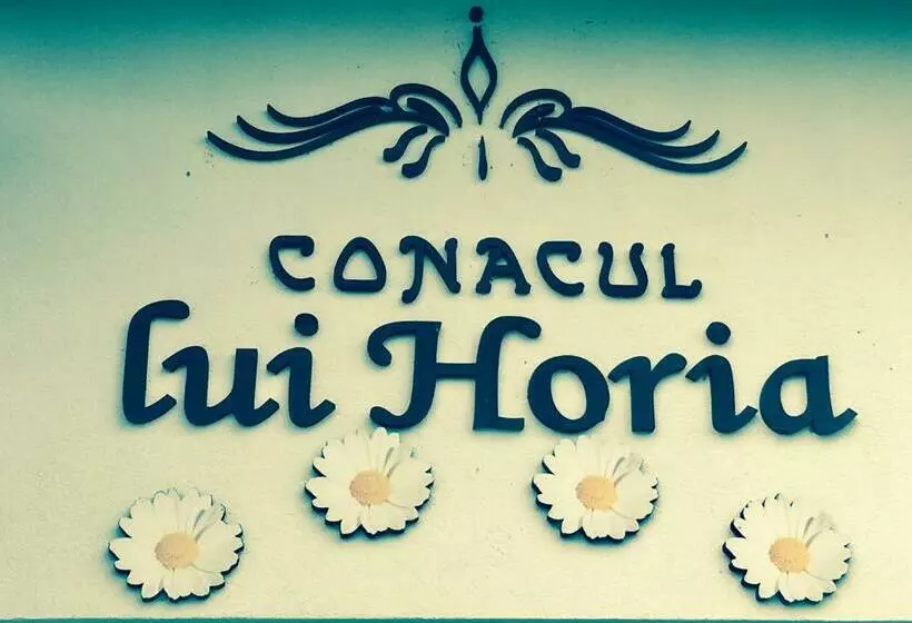 Pensiunea Conacul Lui Horia
