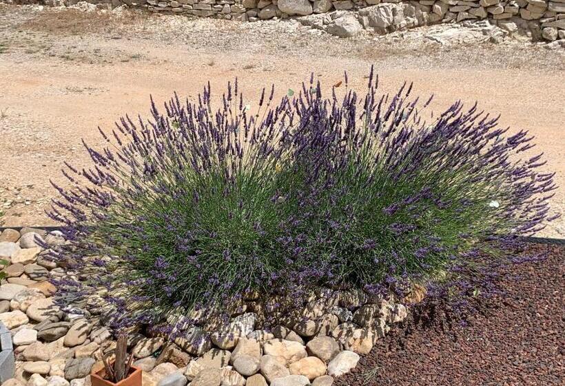 مبيت وإفطار Au Fil Des Cévennes