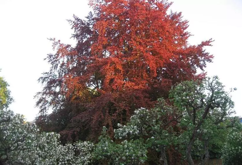 Aamiaismajoitus (B&B) Chambre D Hôtes Les Augustins   Parking Sécurisé   Borne De Recharge