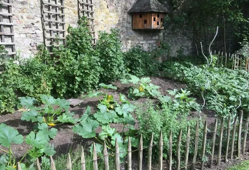 Aamiaismajoitus (B&B) Chambre D Hôtes Les Augustins   Parking Sécurisé   Borne De Recharge