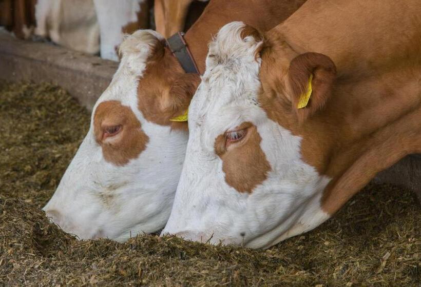 هتل Tourist Farm Mulej