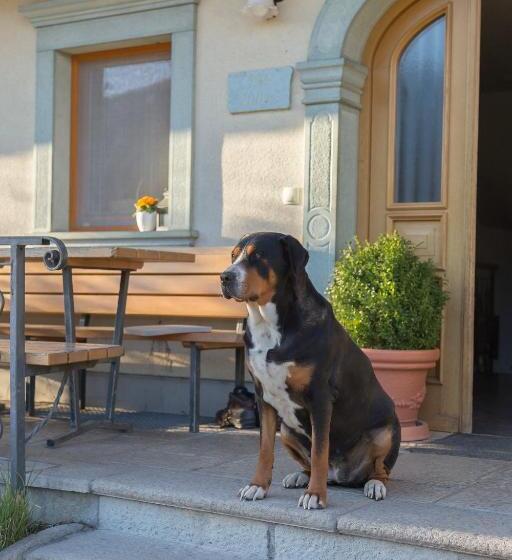 هتل Tourist Farm Mulej