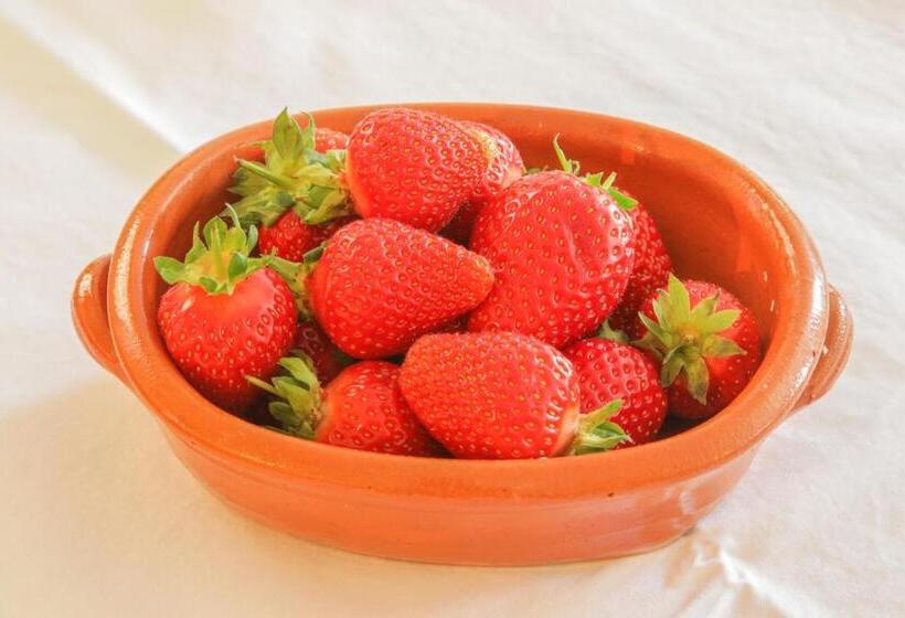 هتل Tourist Farm Mulej