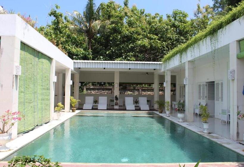 بنسيون Villa Putih Lovina
