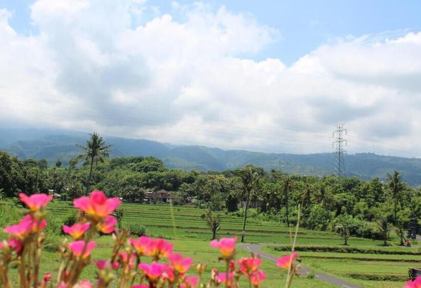 بنسيون Villa Putih Lovina