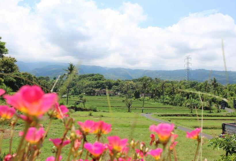 بنسيون Villa Putih Lovina