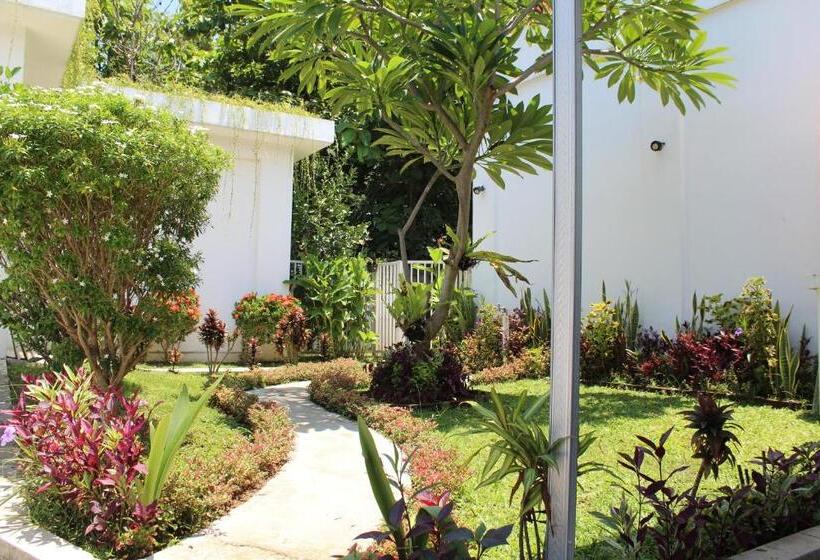 بنسيون Villa Putih Lovina