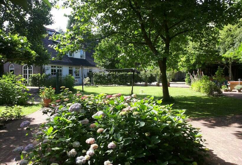 B&b Stadsoase Nijmegen