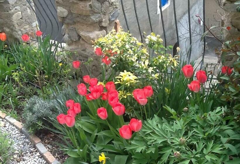 Maison Aux Lavandes B&b