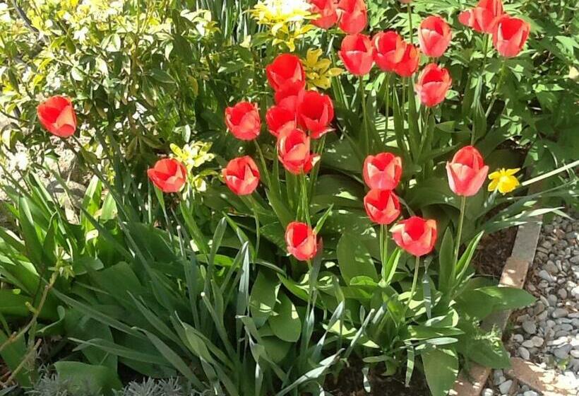 Maison Aux Lavandes B&b