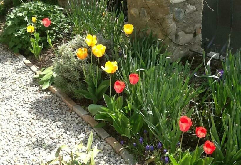 Maison Aux Lavandes B&b