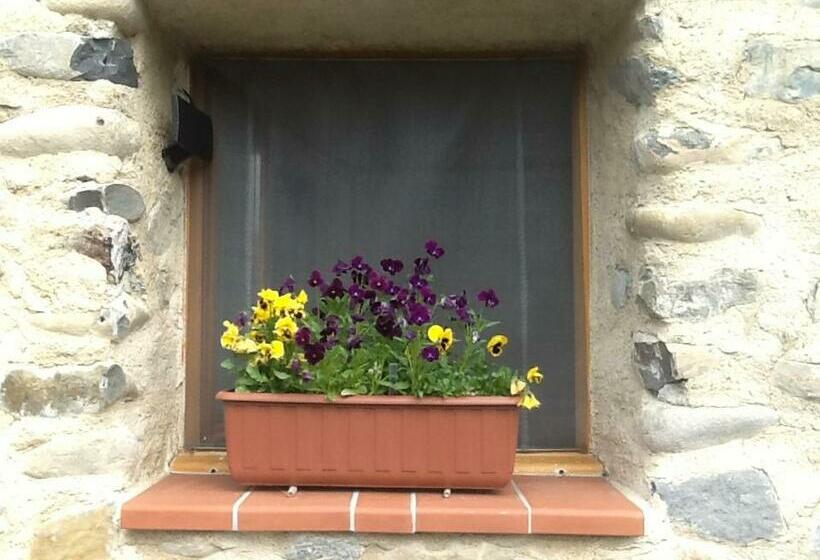 Maison Aux Lavandes B&b