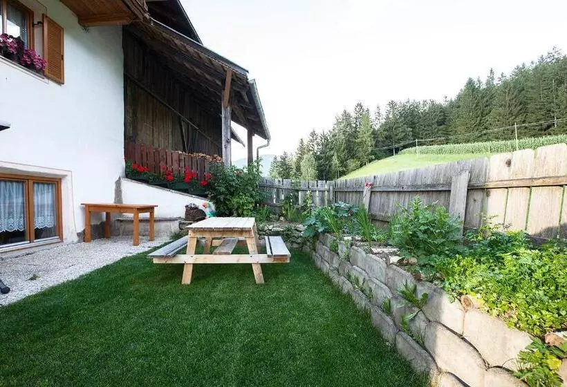هتل Hölzlhof