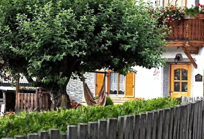 هتل Hölzlhof