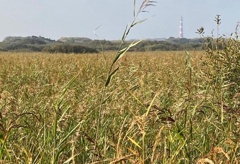 בית מלון כפרי Meeuw