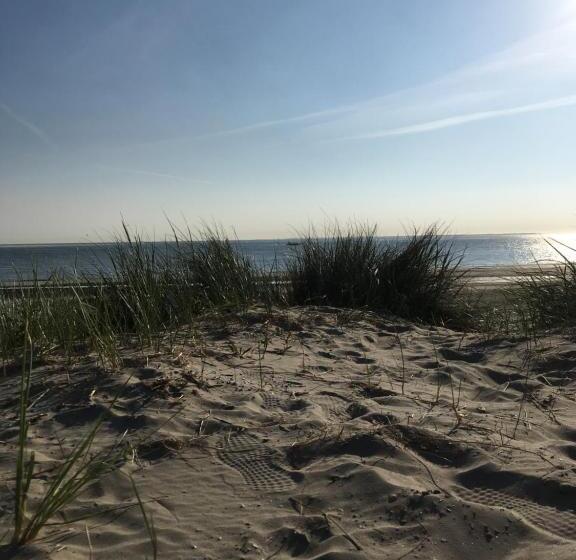 בית מלון כפרי Meeuw