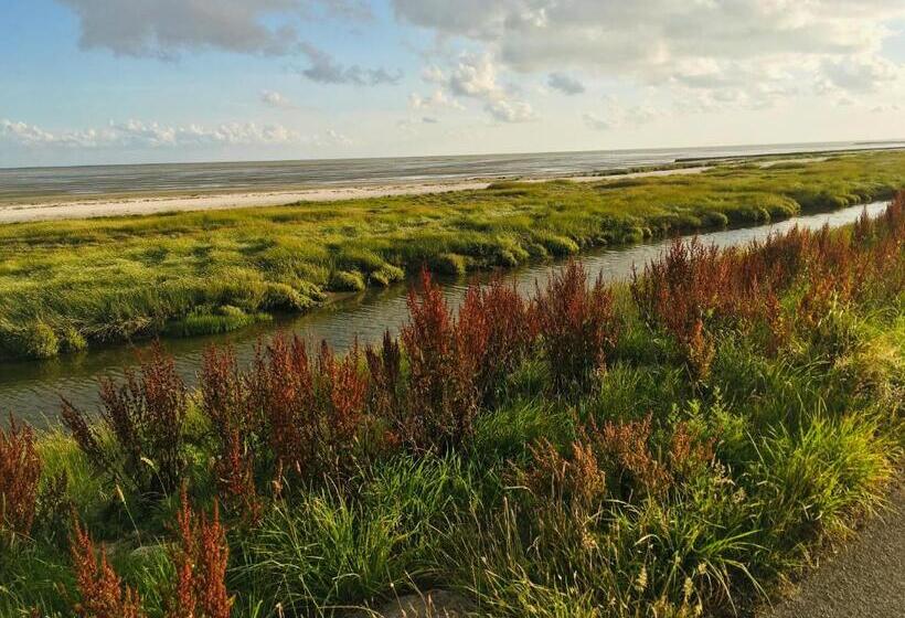 בית מלון כפרי Meeuw