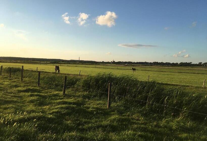 בית מלון כפרי Meeuw