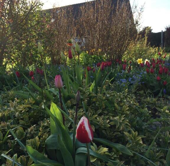 בית מלון כפרי Meeuw