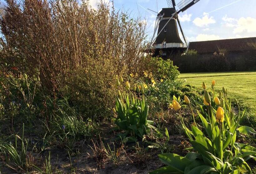 בית מלון כפרי Meeuw