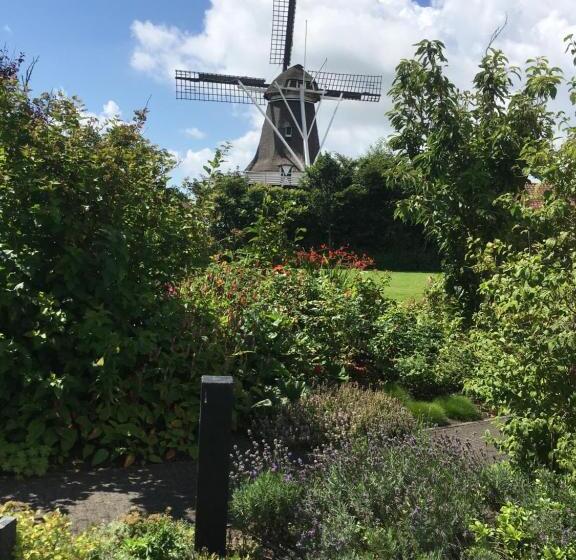 בית מלון כפרי Meeuw