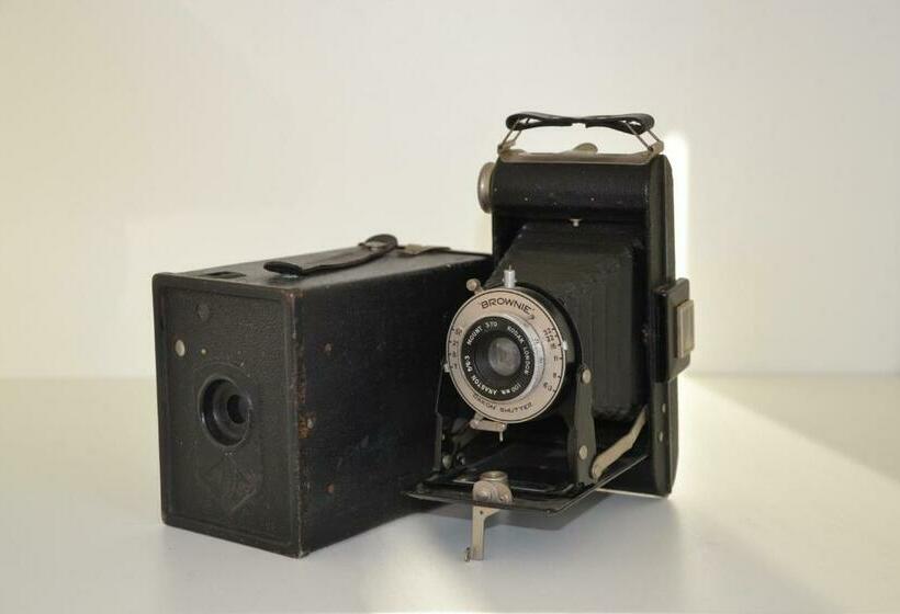 Loft Bed And Breakfast