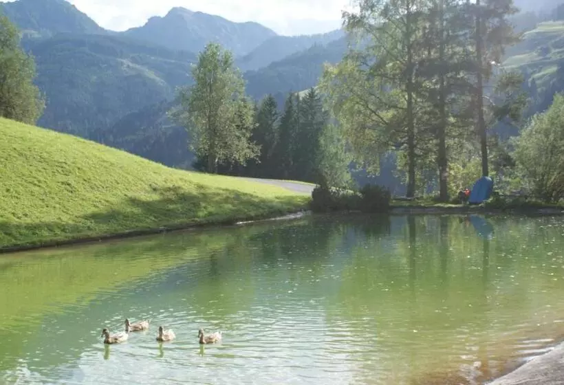 Pension Chalet Bergseegut