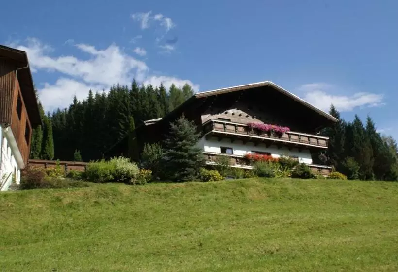 Pension Chalet Bergseegut
