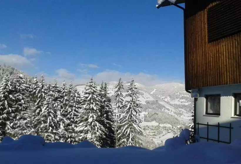 Pension Chalet Bergseegut
