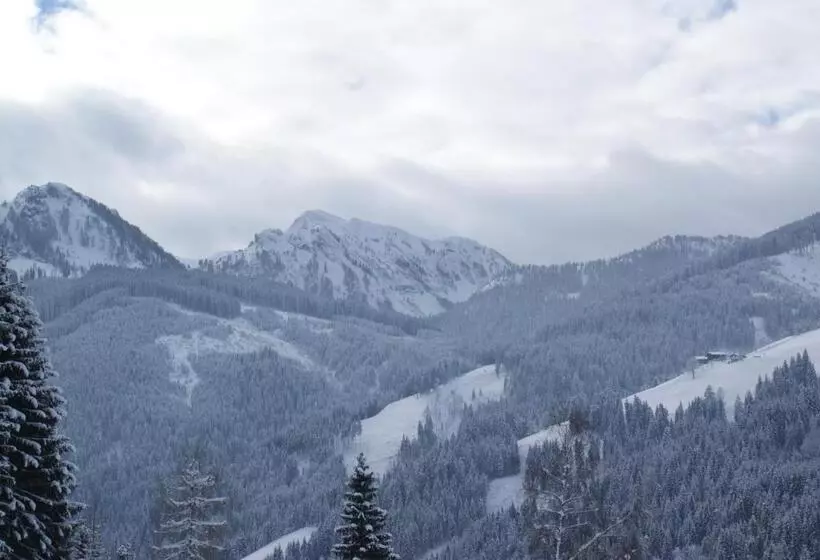 Pension Chalet Bergseegut