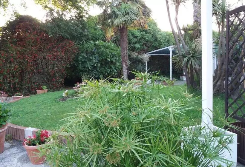 Aamiaismajoitus (B&B) Il Piccolo Nido